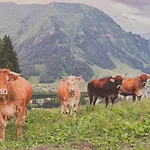 Schwarz